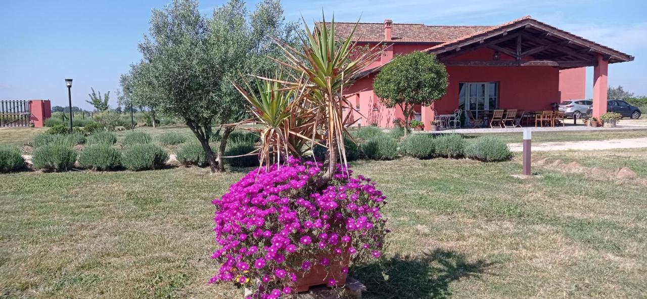 לינה וארוחת בוקר Il Casale Di Giulia Di אפריליה מראה חיצוני תמונה
