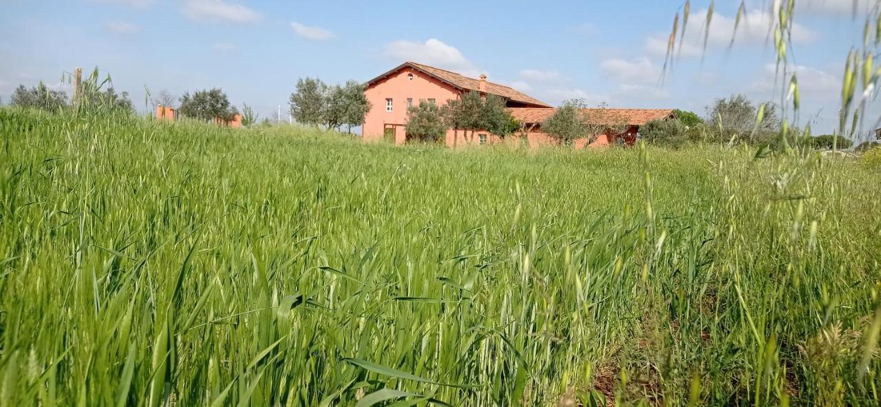 לינה וארוחת בוקר Il Casale Di Giulia Di אפריליה מראה חיצוני תמונה