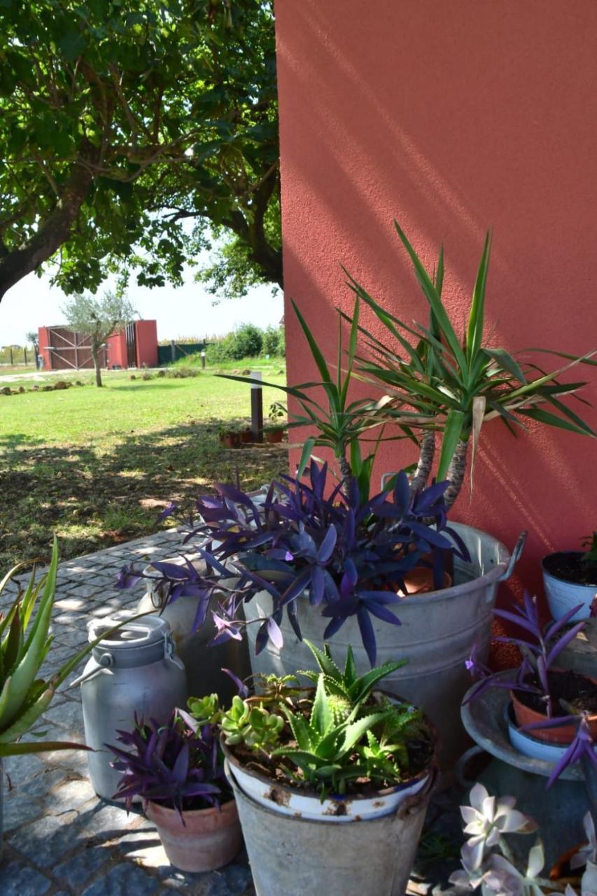 לינה וארוחת בוקר Il Casale Di Giulia Di אפריליה מראה חיצוני תמונה